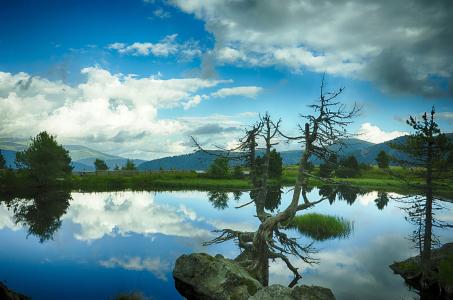 ȽĻҪ׼ʶ